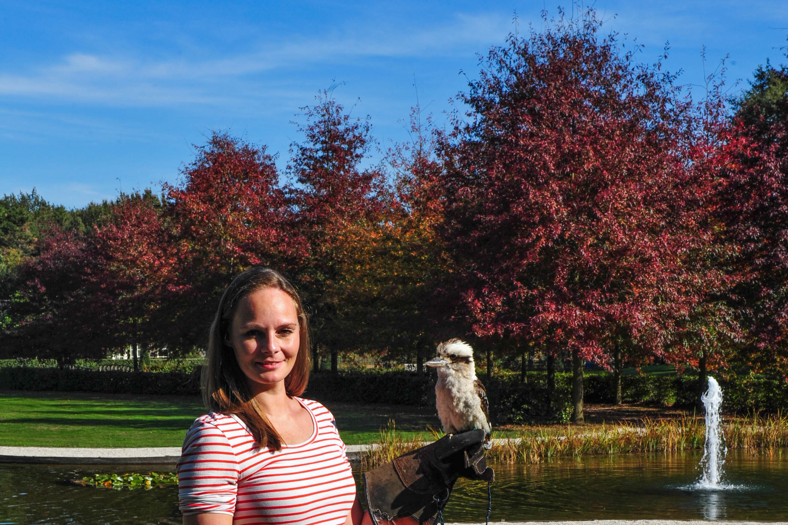 Een geweldig coachweekend met roofvogels