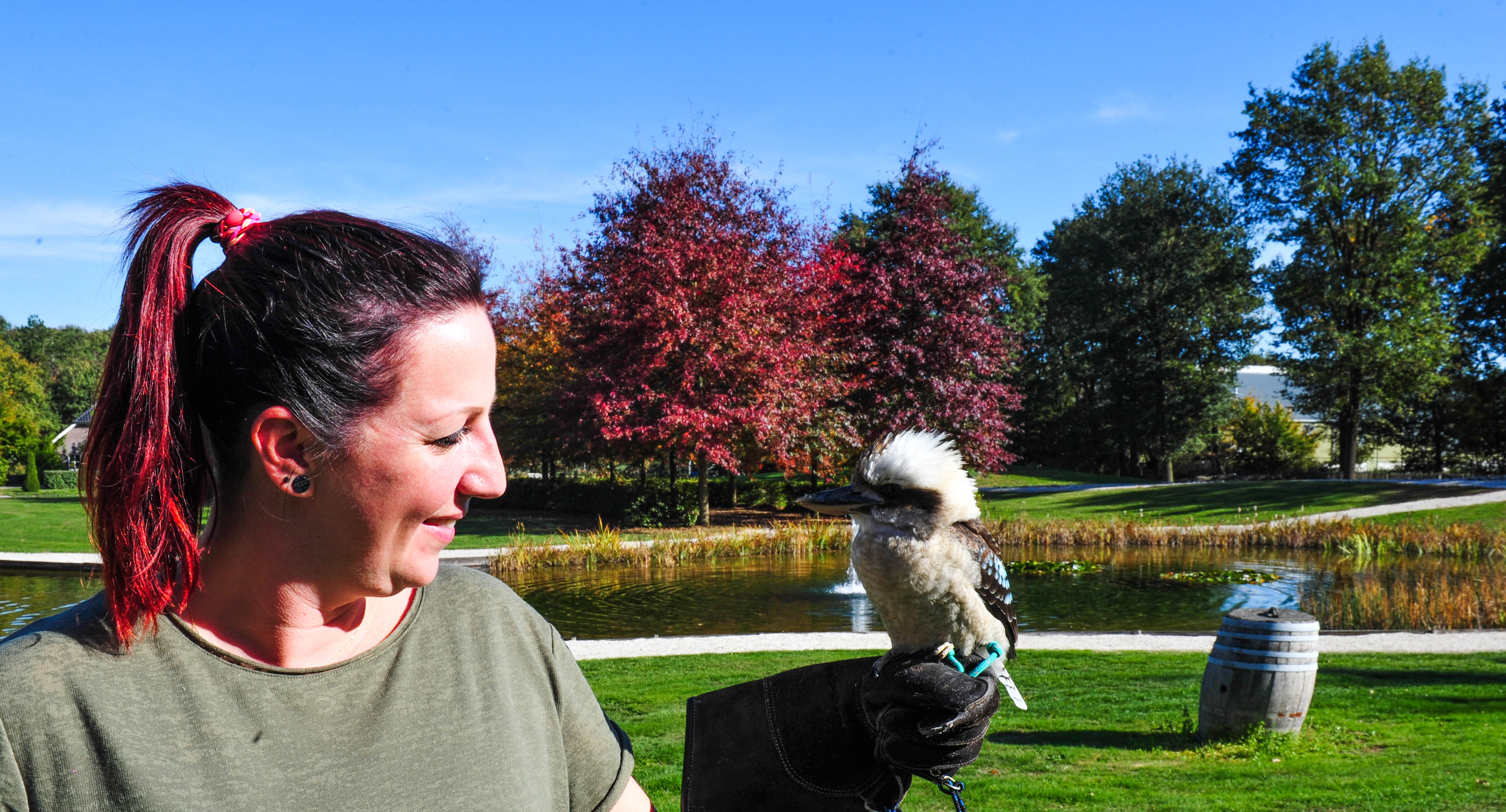 Een geweldig coachweekend met roofvogels