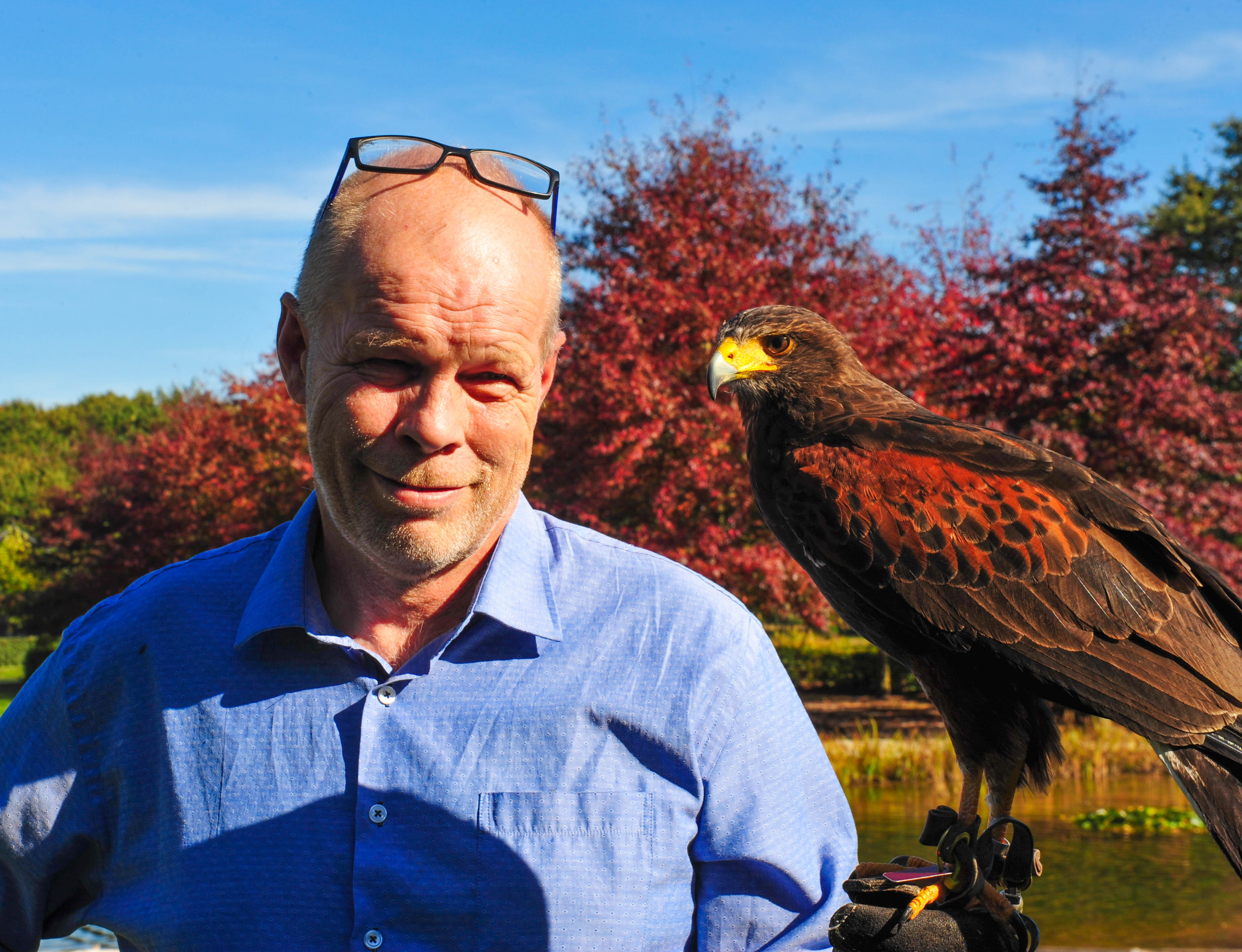 Een geweldig coachweekend met roofvogels