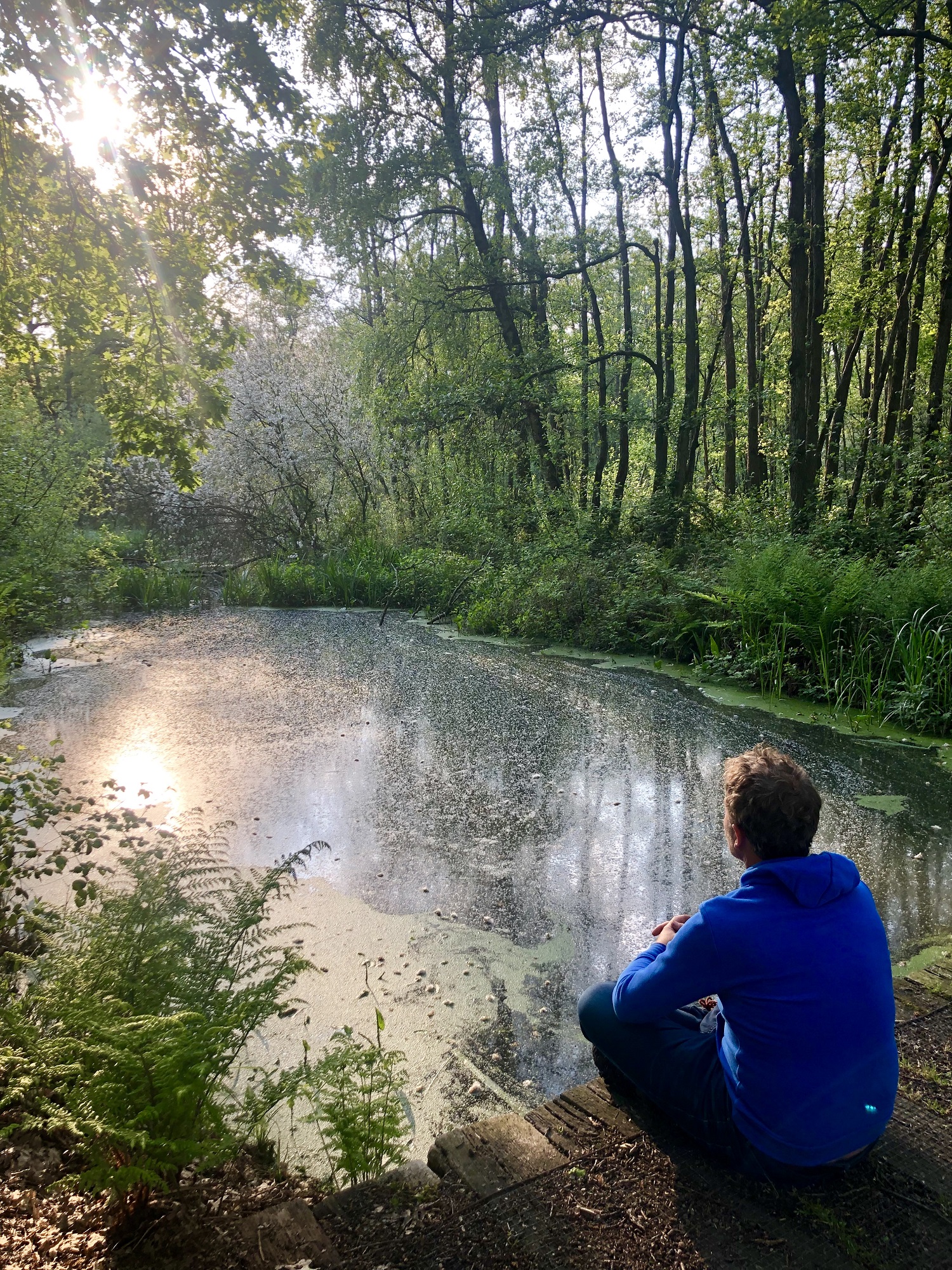 Wandelen in de omgeving