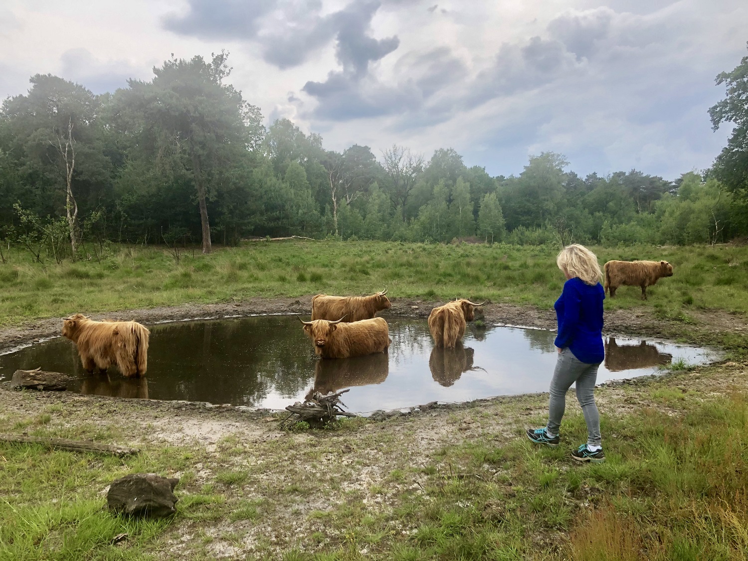 Wandelen in de omgeving