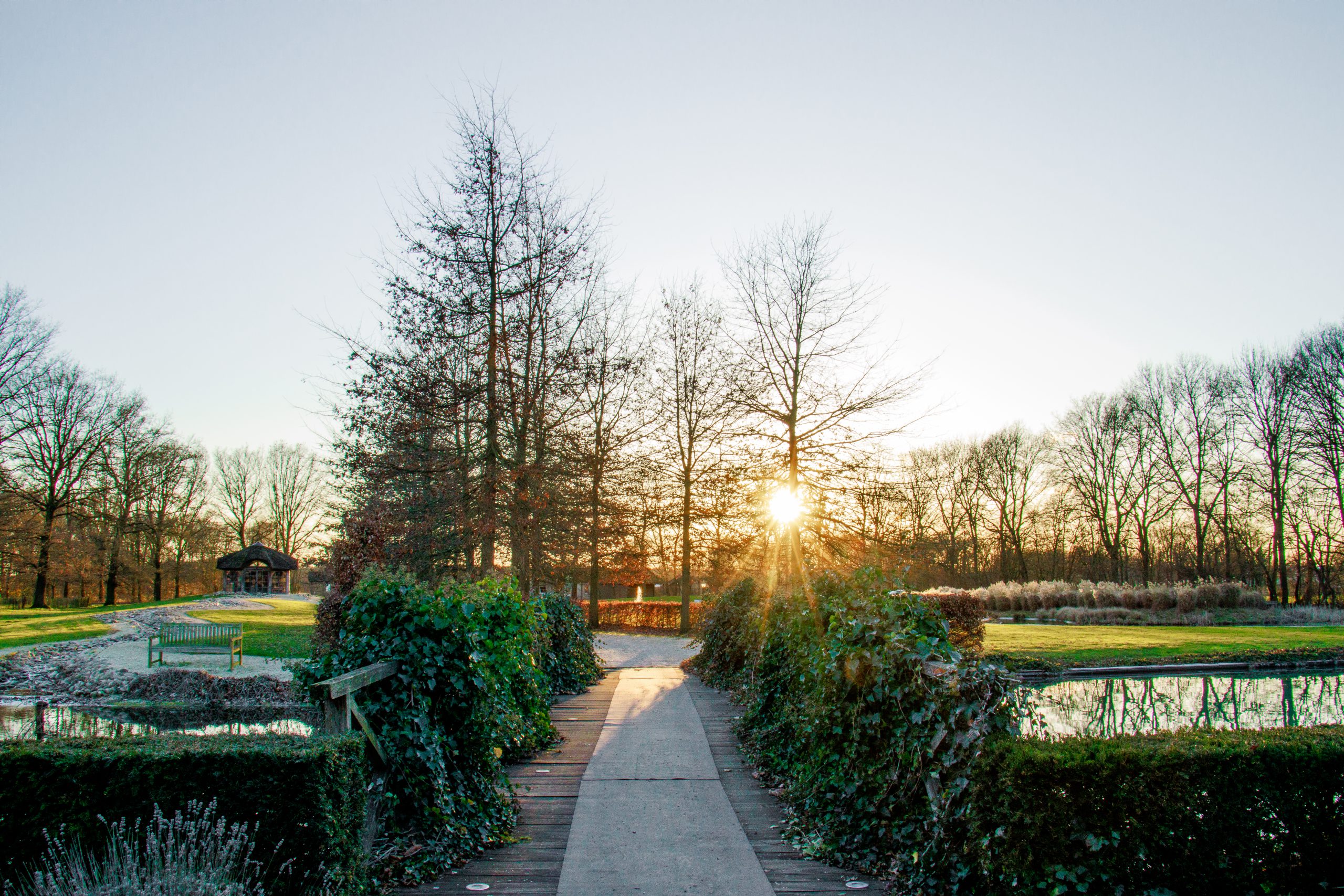 Impressie van het park